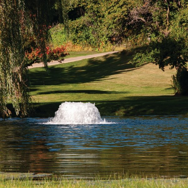 Submersible or External? Choosing Between Water Fountains Pumps